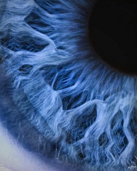 Eye Close Up Eye Close Up
