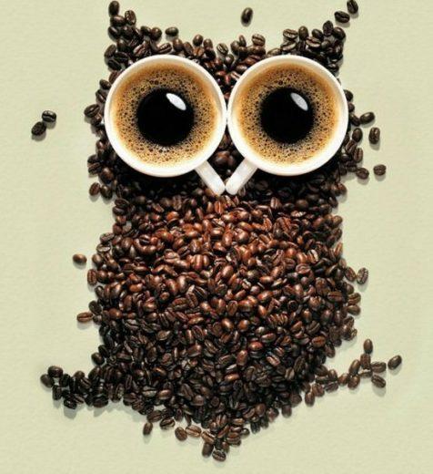Owl 549x600 Owl 549x600