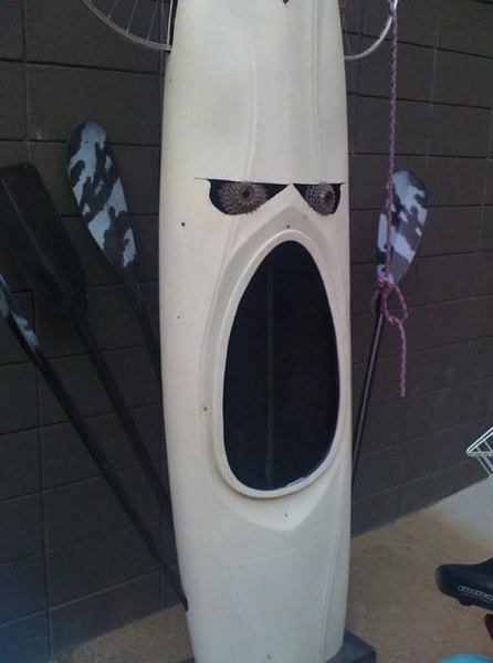 2012 06 18 235919 They’re watching you! (24 pics)