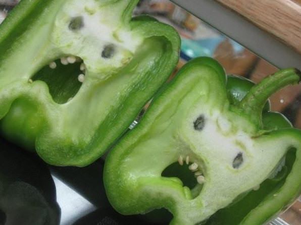 2012 06 19 000102 They’re watching you! (24 pics)