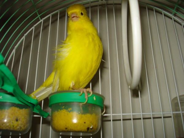 Dsc01579