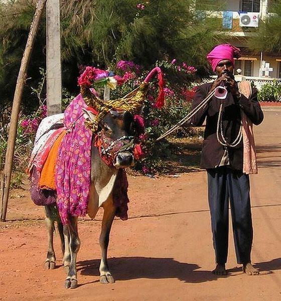 India 09