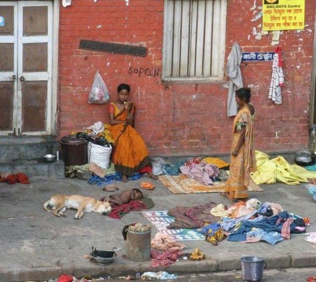India 44