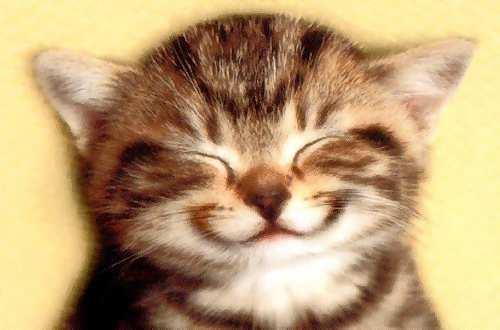 Smilingcat