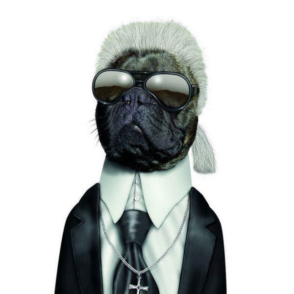 celeb animals08 Pets Impersonating Famous Celebrities