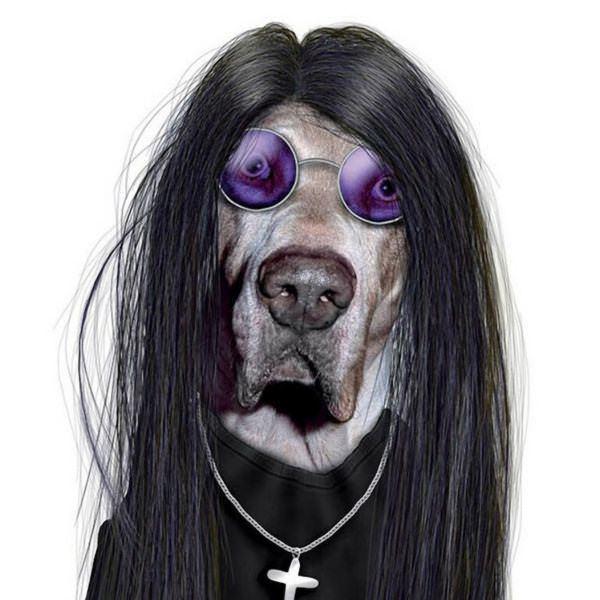 celeb animals09 Pets Impersonating Famous Celebrities