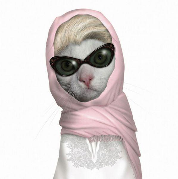 celeb animals11 Pets Impersonating Famous Celebrities