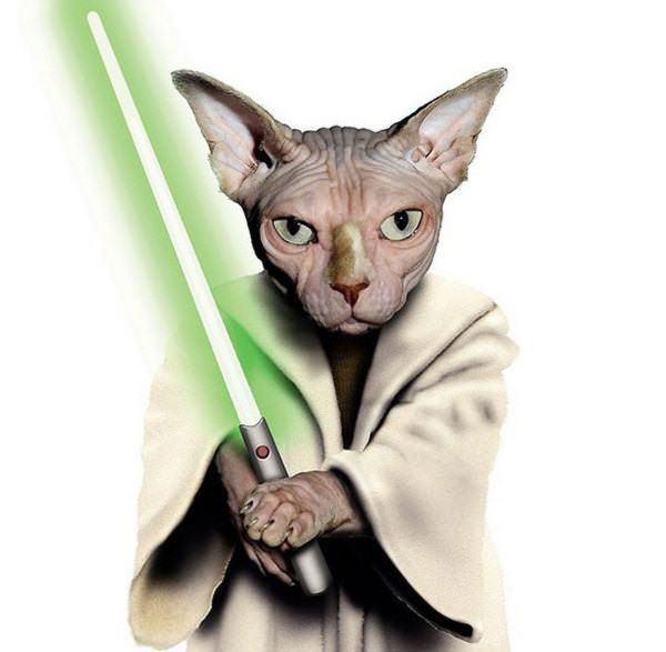 celeb animals13 Pets Impersonating Famous Celebrities