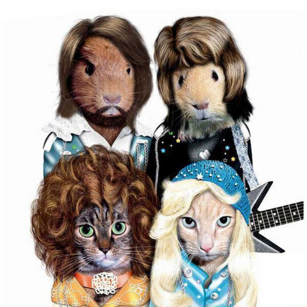 celeb animals15 Pets Impersonating Famous Celebrities