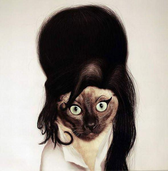 celeb animals17 Pets Impersonating Famous Celebrities