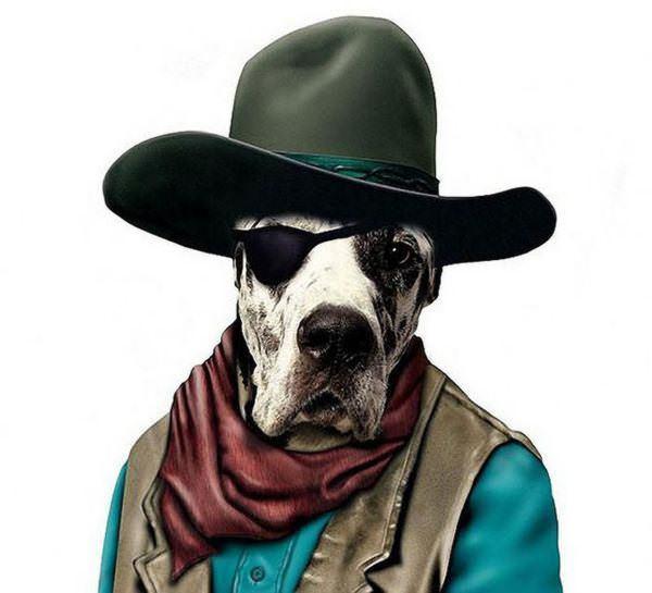 celeb animals21 Pets Impersonating Famous Celebrities
