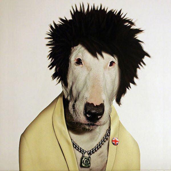celeb animals22 Pets Impersonating Famous Celebrities