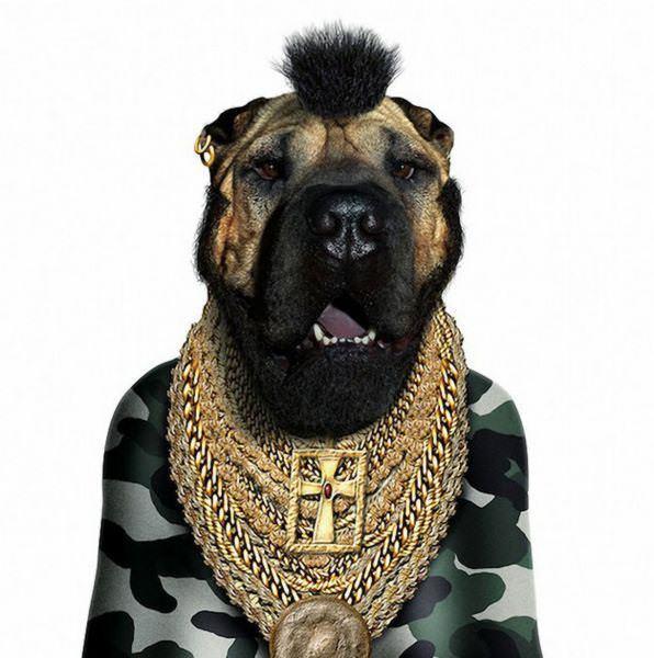 celeb animals24 Pets Impersonating Famous Celebrities