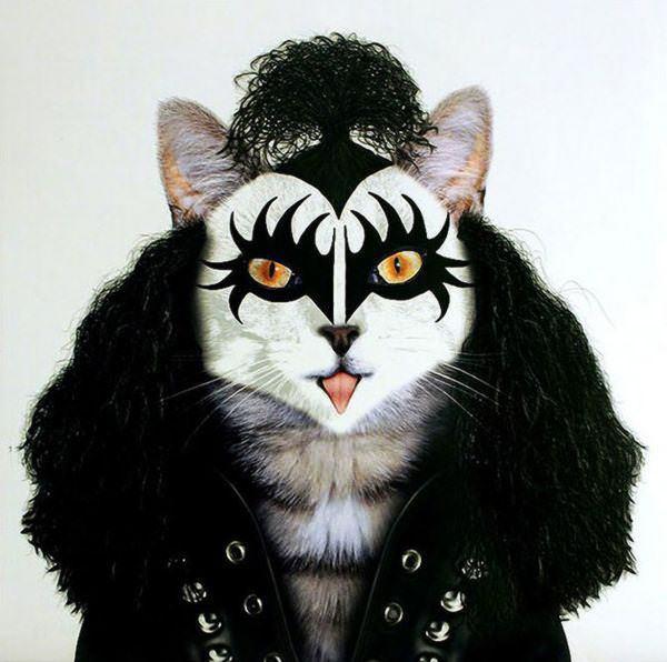 celeb animals25 Pets Impersonating Famous Celebrities