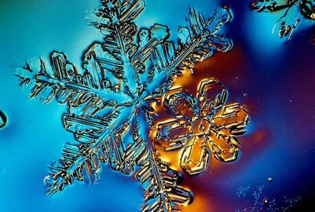 A98289 Snowflake2 A98289 Snowflake2