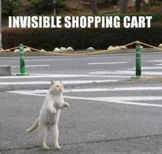 Cat Invisible Shopping Card Funday.gr