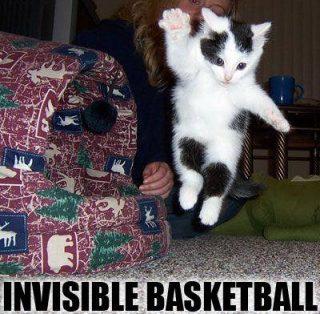 Invisible Basketball Cat Funday.gr