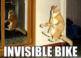 Invisible Bike Cat Funday.gr