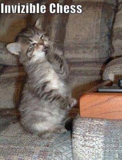 Invisible Chess Cat Funday.gr