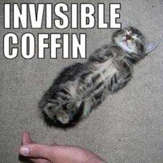 Invisible Coffin Cat Funday.gr