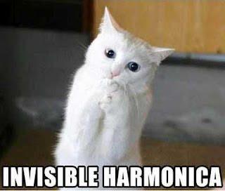 Invisible Harmonica Cat Funday.gr