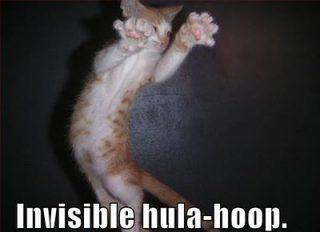 Invisible Hula Hop Cat Funday.gr