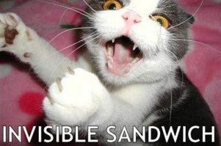 Invisible Sandwich Cat Funday.gr