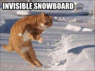 Invisible Snowboard Cat Funday.gr
