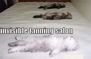 Invisible Tanning Salon Funday.gr