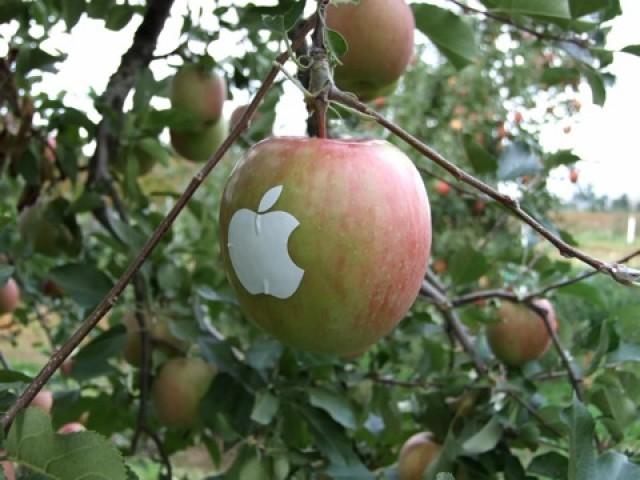 Apples With Apple Logo 03 E1350804756705