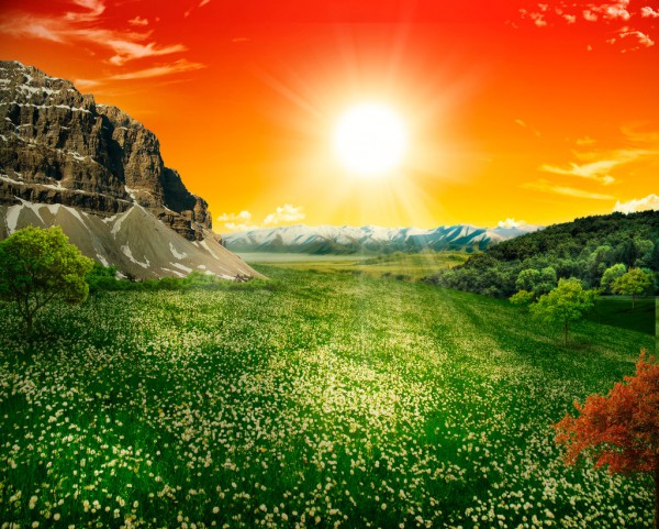 Nature In My Dreams By Captonjohn Nature In My Dreams By Captonjohn