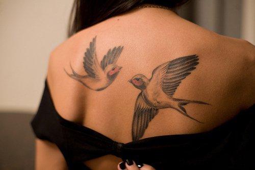 Amazing-awesome-beautiful-bird-birds-favim.com-169978_large