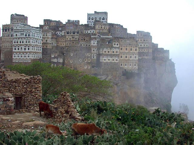 Socotra (11) Socotra 11