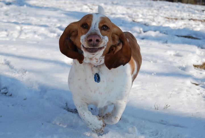 Snow Snow