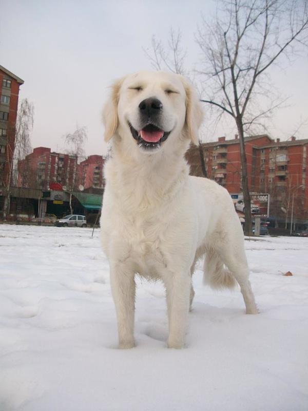 Snow10 Snow10