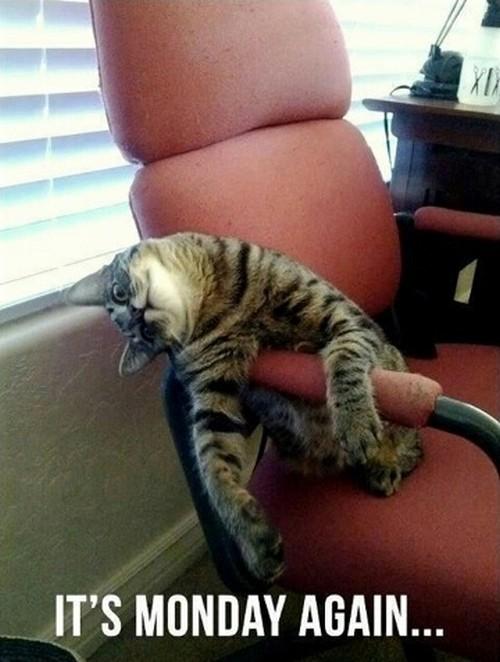 Monday