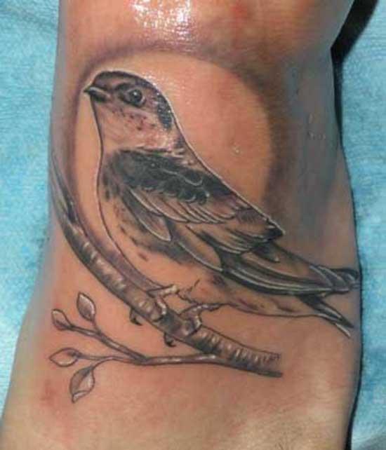 Bird Tattoo