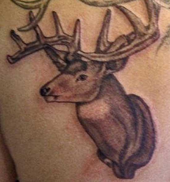 Deer Portrait Tattoos