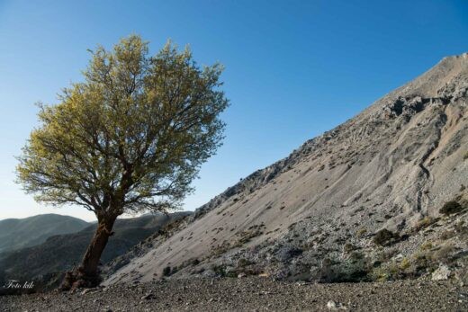 Άνω Σύμη, Νότια Κρήτη